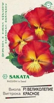 00039794_Виола Великолепие красное F1 Виттрока 5 ш