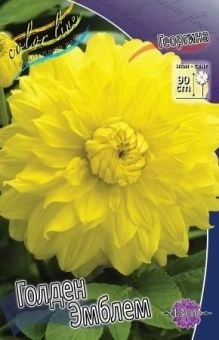 00036396_Георгина  Голден Эмблем декор 1шт (КолорЛ