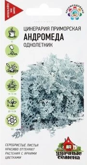 00009545_Цинерария приморская Андромеда серия Удач
