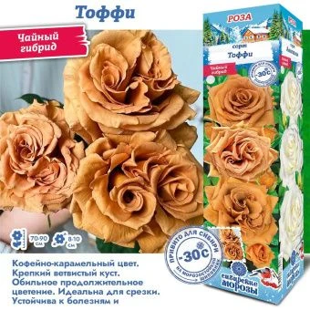 phw3cw91fzxl8kskujdvi7dik08bwefc