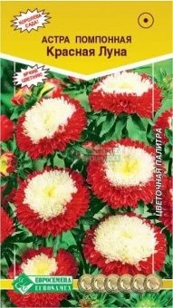 00041651_Астра Красная луна помпонная 0,1г (ЕС)