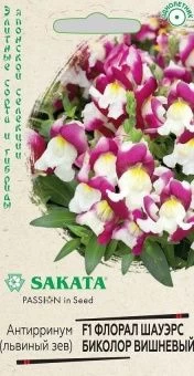 00039768_Львиный зев Флорал Шауэрс Биколор вишневы