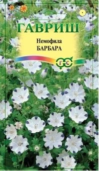 00007945_Немофила Барбара пятнистая (Гавриш) 1_800