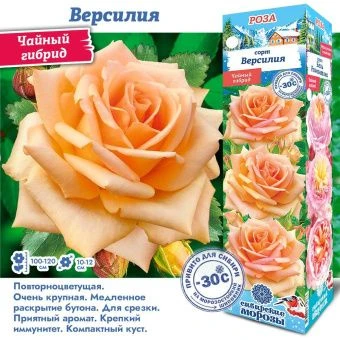 8tphm83egf7zrunlcnutogo522o05qlm