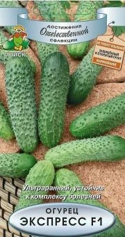 00021294_Огурец Экспресс F1 12шт (ПОИСК)