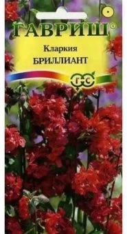 Кларкия Бриллиант Изящная (Гавриш) 1/800