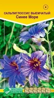00041673_Сальпиглоссис Синее море 0,02 г (ЕС)