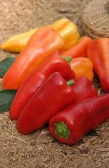 Перец Радуга 0.15г (Агрос) 1