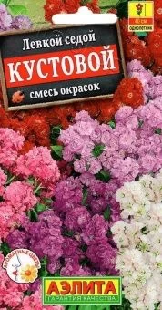 00012390_Левкой Кустовой смесь (Аэлита)