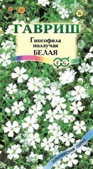 00025961_Гипсофила Белая ползучая 0,1 г (Гавриш)