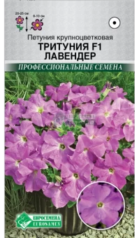 q38d0ue3tcpkve1n10kg8kcqrvvba0ik