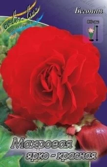 00027318_Бегония махровая Ярко красная 5шт (КолорЛ