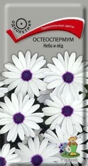 00030400_Остеоспермум Небо и лед 0,1г (ПОИСК)