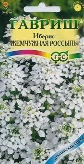 00009483_Иберис Жемчужная россыпь зонтичный (Гаври