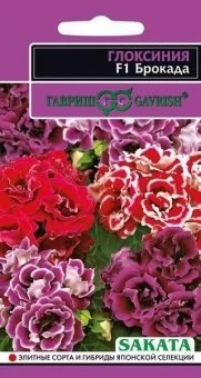 Глоксиния Брокада смесь (Гавриш) 1/1000