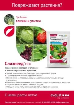 Слизнеед НЕО