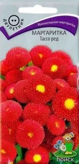00038991_Маргаритка Тассо ред  20шт (ПОИСК)