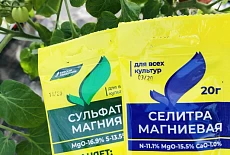 Какими концентрациями удобрительных растворов можно опрыскивать растения и/или поливать их под корень?