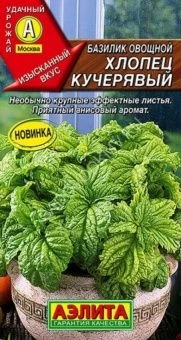00029346_Базилик овощной Хлопец кучерявый (Аэлита)