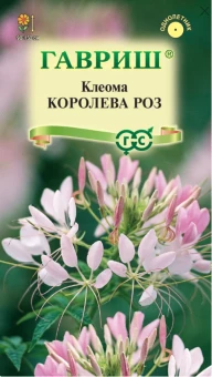 00032332_Клеома Королева роз (Гавриш)