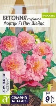 00031217_Бегония Фортун Пич шейдс клубневая 5шт (С