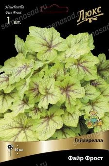 wfcrg9qg17vv8wsct01ksdo2pdm87rgm