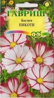 00007909_Космея Пикоти (Гавриш) 11000
