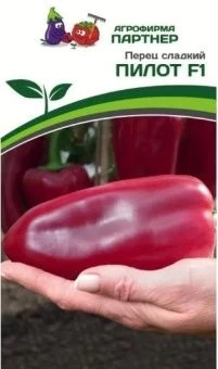 Снимок экрана 2023-01-26 101813