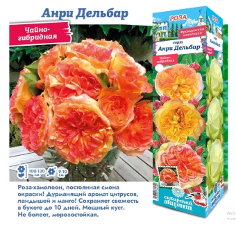 Снимок экрана 2025-10-09 104752