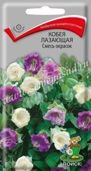Кобея Смесь окрасок 5шт (ПОИСК)