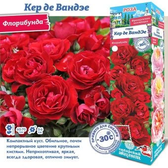 2ic9ydh158v1m6veuer0280le9wrxvuc