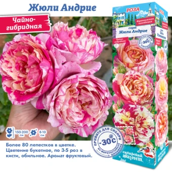 a65cl3q6poln676xff919kxs4e3umq0v