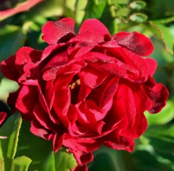 Снимок экрана 2025-10-13 152211