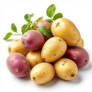 На складе семенной картофель.