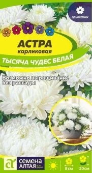 00037478_Астра Тысяча чудес белая карликовая 0,2г 