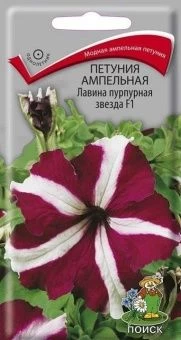 00021376_Петуния Лавина F1 пурпурная звезда ампель