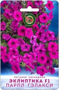00041935_Петуния Эклиптика F1 Парпл Гэлакси каскад
