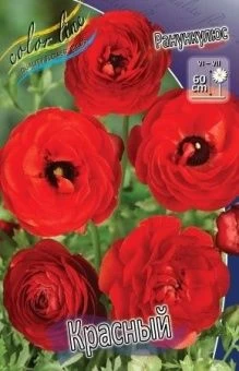 00027434_Ранункулюс Красный 10шт (КолорЛайн)