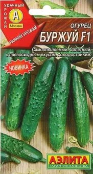 00022336_Огурец Буржуй (Аэлита)