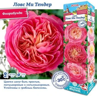 3otdttg14oux0j9pp4f871er3xsblv0a