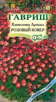 00015827_Камнеломка Арендса Розовый ковер (Гавриш)