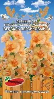 8mbstnbtwedqa69r5ra1qzkywf58ae37