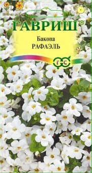 00016411_Бакопа Рафаэль (Гавриш)