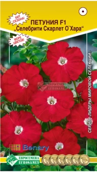 00041667_Петуния СЕЛЕБРИТИ Скарлет О`Хара F1 много