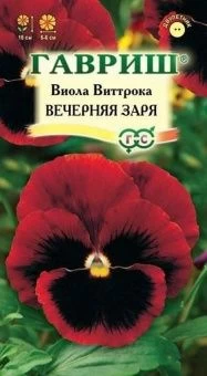 00007700_Виола Вечерняя Заря (Гавриш) 11000