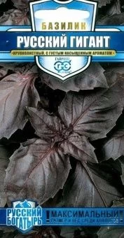 00012727_Базилик Русский Гигант фиолетовый (Гавриш