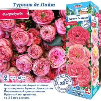 r8bfpe9j0toaxltbmzq3dsoghmg0wye1