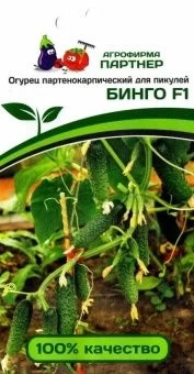 00032107_Огурец Бинго F1 5шт (Партнер)