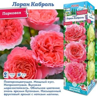 2zilu7i2jd7e30vyady94z7syoj6uaav