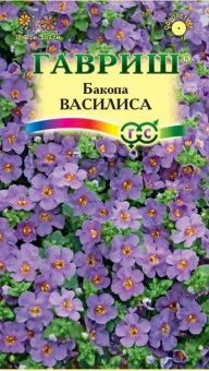 00020289_Бакопа Василиса (Гавриш)